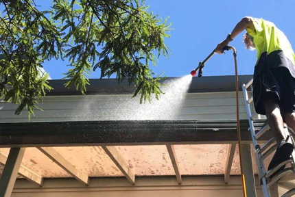 Roof Cleaning